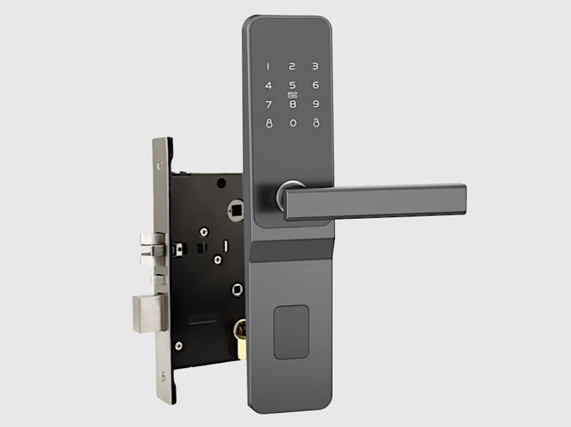 TTLOCK HOTEL BLACK (ANSI STANDARD)