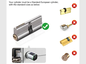 Standard-Europrofil-Zylinder als geeignete Bauform sowie mehrere nicht geeignete Zylindertypen.