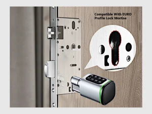 TTLOCK MYSTIC LITE an einem Schloss mit Europrofil-Zylinderaufnahme.