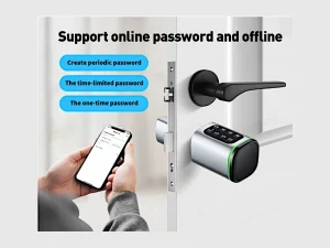 TTLOCK MYSTIC V1 mit Smartphone und Darstellung verschiedener Passwortarten